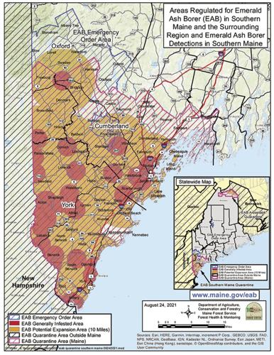 Emerald Ash Borer Map