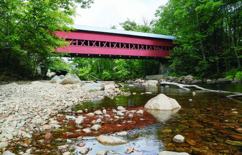 08-25-25 Low River swift near bridge head-on