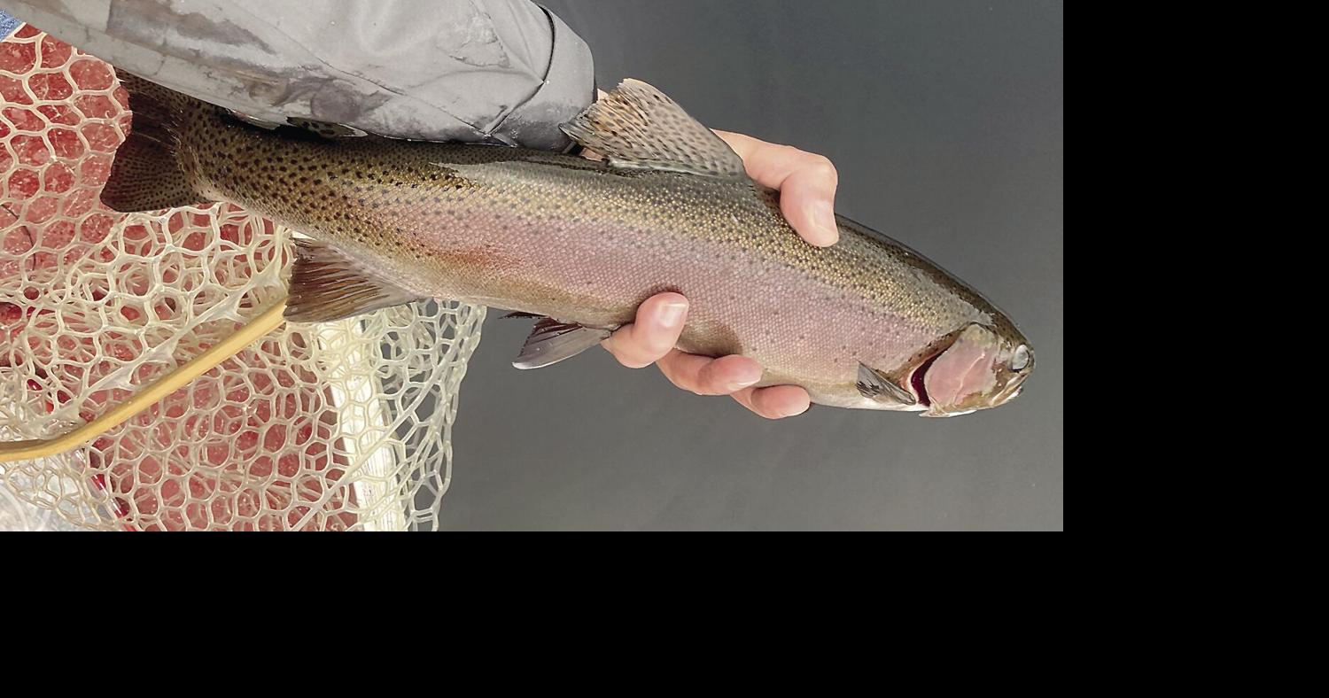 North Country Angling: Stocked fish, catch and release, and other ...