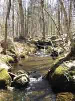 Land trust receives new easement in Madison
