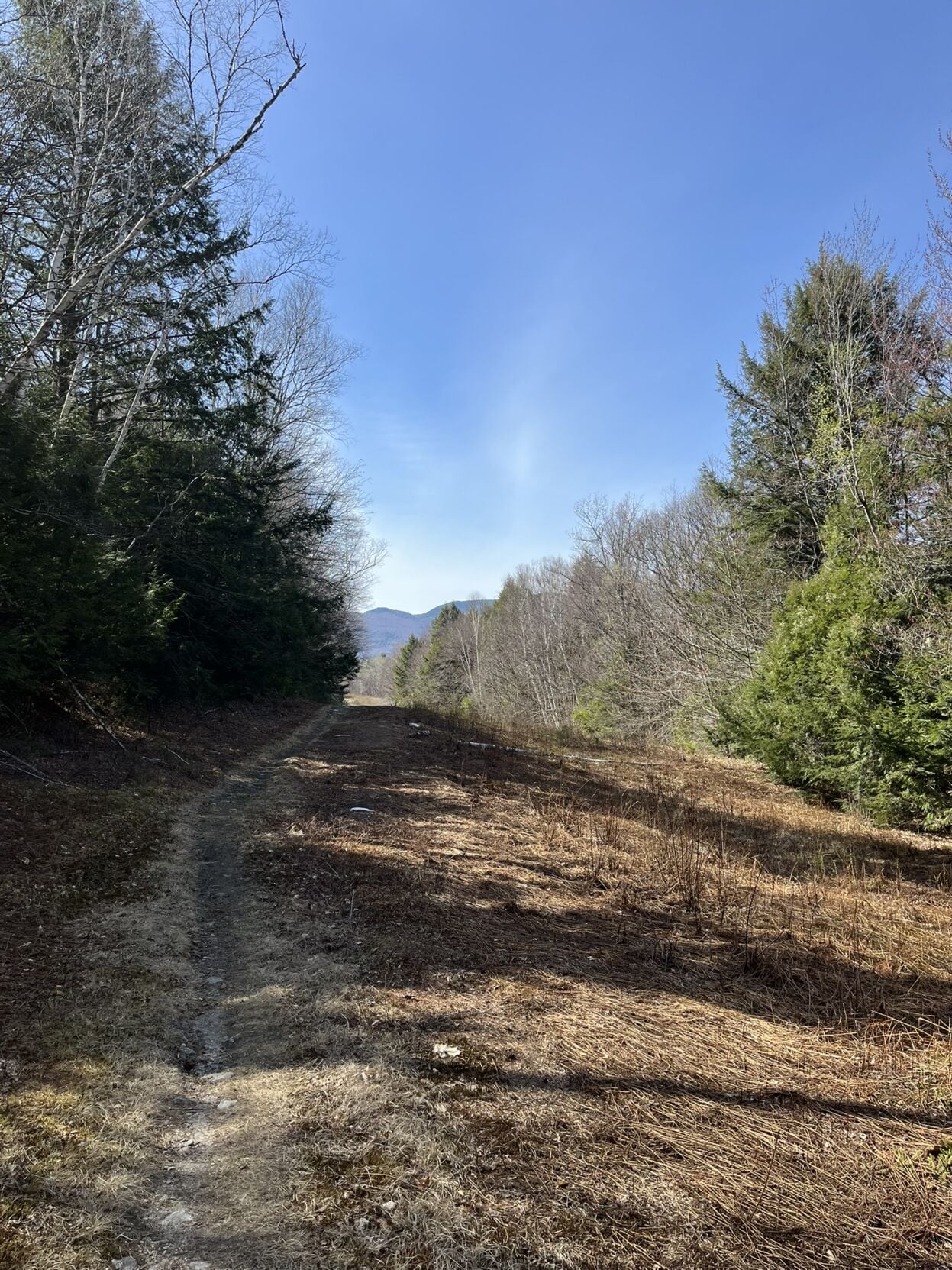 Town of Gorham acquires 27-acre parcel for water system protection