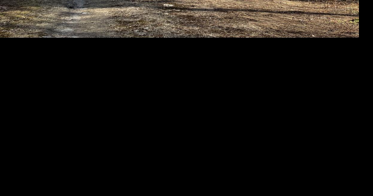 Town of Gorhm acquires 27-acres parcel for water system protection Jul 1, 2026 Jul 1, 2026 Updated 12 mins ago