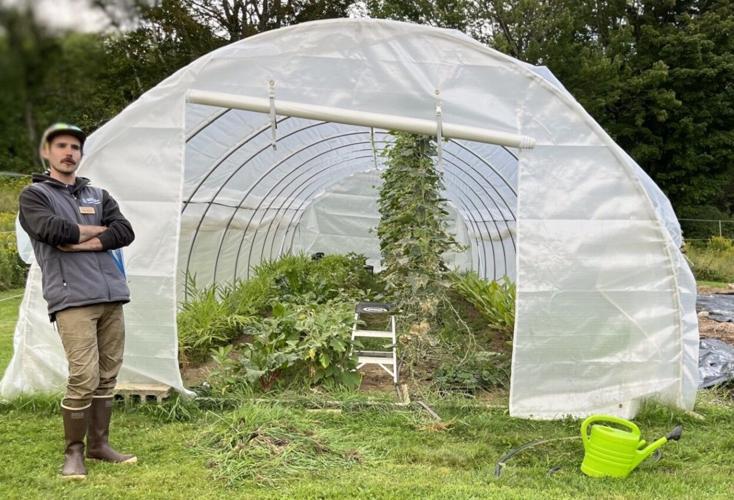 A caterpillar tunnel is named for its long, cylindrical shape