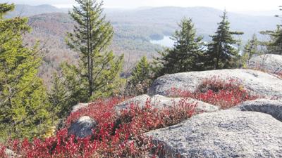 9-18-2021 Parsons-Bayle Mountain