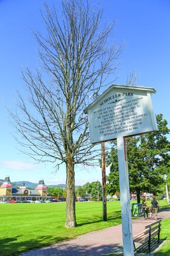 09-16-26 Schouler Park Trees by sign vertical
