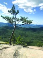 Hiking: Iron Mountain in Jackson