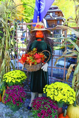 10-01-26 Pumpkin People ravenwood woman wider