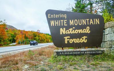 10-05-22 Pinkham Notch Foliage white mtn forest sign
