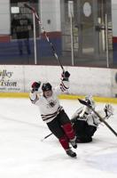 Ye Olde Devils go 1-2 in Old Man of the Mountains Hockey Tournament