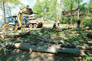 Possible microburst damages Madison homes and properties