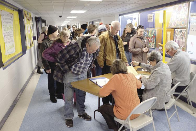 2-11-20 Primary election