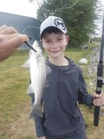 Valley Angler:  Fishing with the king fisher