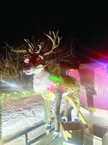 CUT dd51 ROP Naples holiday 5.tif