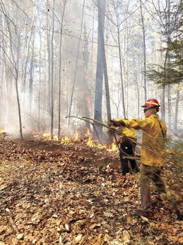 Tamworth fire - more brush buring