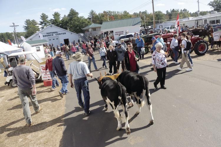 10-3-17 Frye Fair 1.JPG