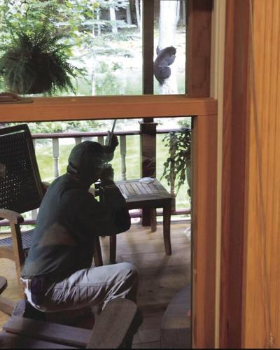 Biologist takes aim at bear