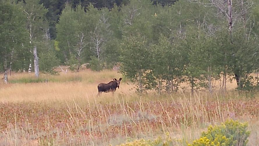 Test for Photo Sales IMG 2