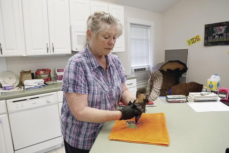 Wildlife Center Cathie Greg owl check-up