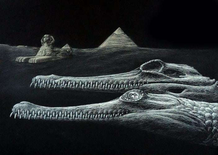 New crocodile species identified in rocks used to build the Great Sphinx