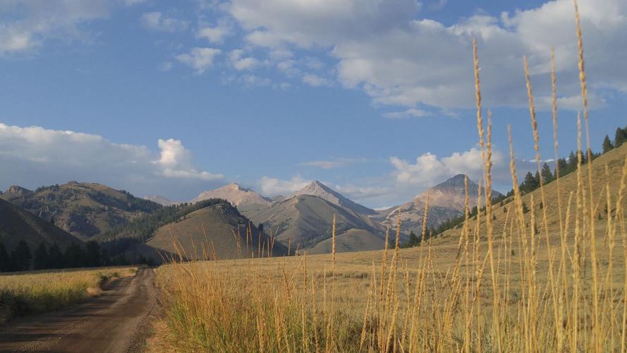 Test for Photo Sales IMG 4