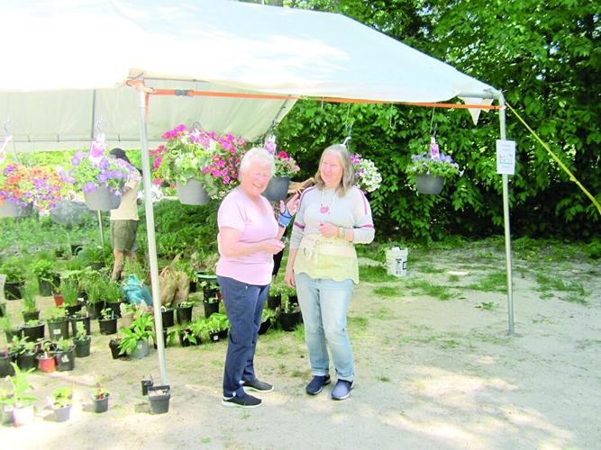 CL w21 denmark library plant sale.tif