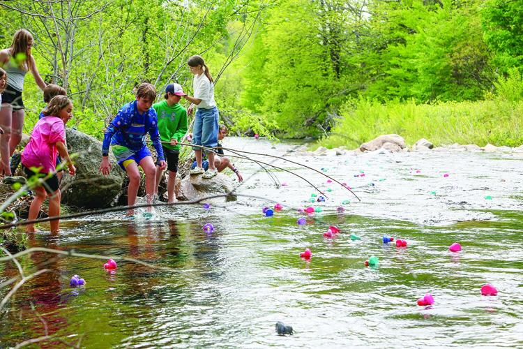 05-25-25 Wildquack medium ducks semi-wide