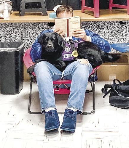 ACTS - Facility dog for education Ember with student reading