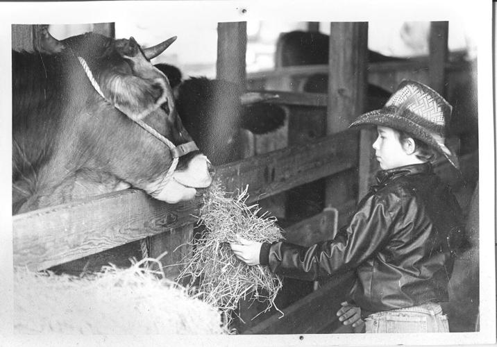 Fryeburg Fair history - boy with cow