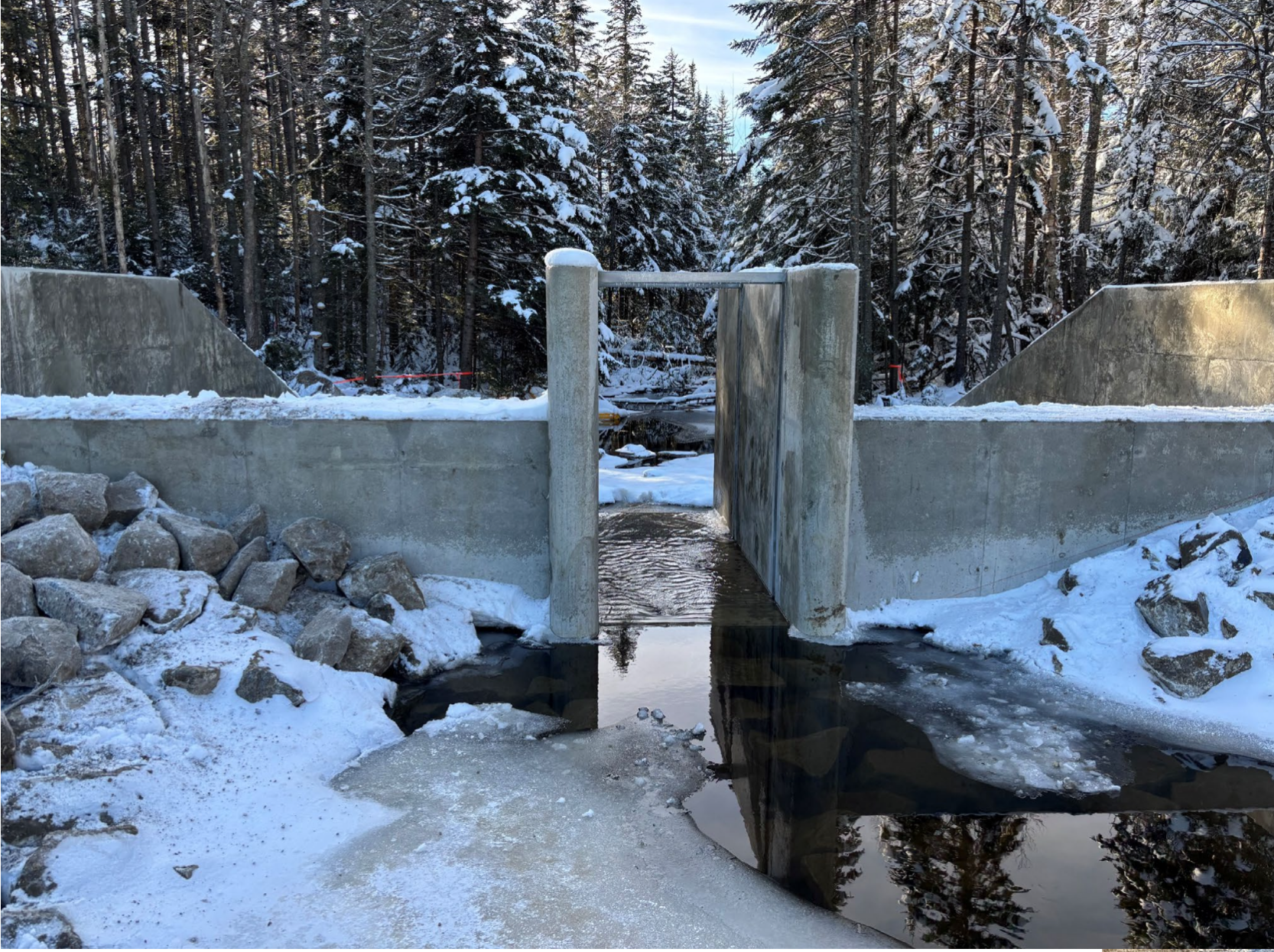 Updating Nash Stream Forest management plan wil get underway next year