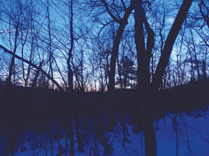 Observing sunrise on Mount Hedgehog