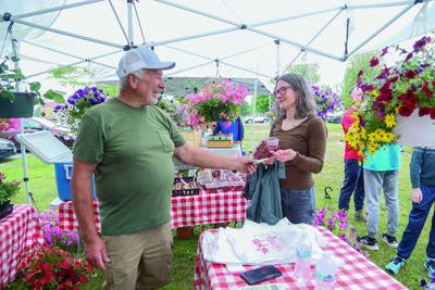 06-17-25 MWV Farmers Market buying strawberries