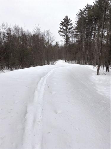 Nordic Tracks - the newly cut MWV Rec Path