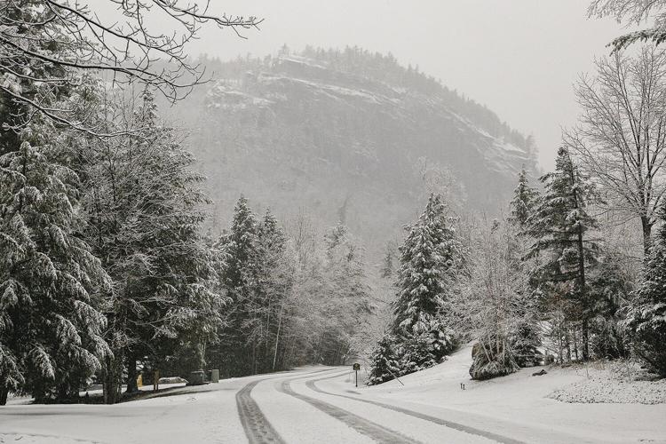 04-19-22 Snow ledge and trees widest