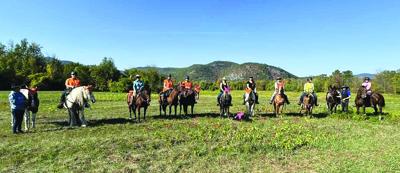 horses