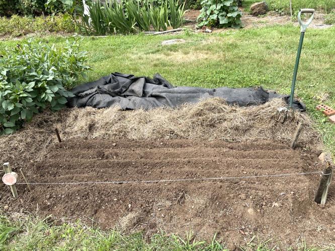seedbed2 Horizontal.jpg