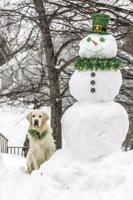 Valley Voice: Wearin' of the green in the valley ...