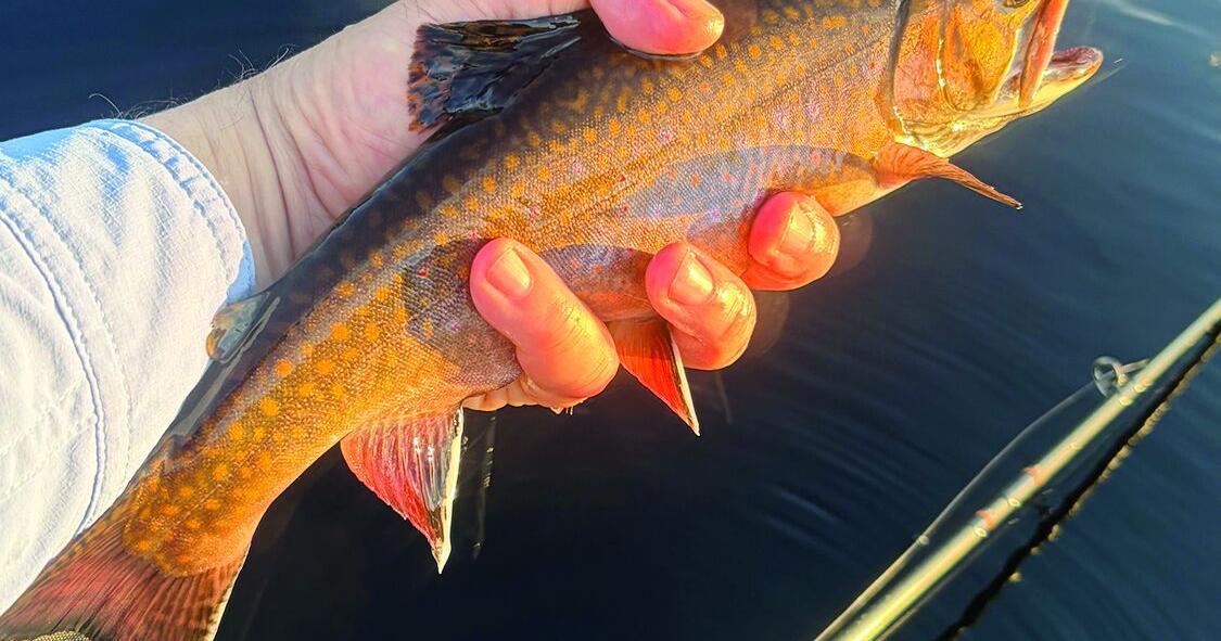 North Country Angling: Fourth of July fishing outlook Jul 3, 2026 1 min ago