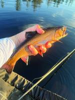 North Country Angling: Fourth of July fishing outlook