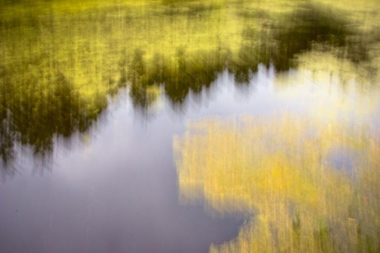 landscape-19.jpg