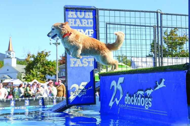 09-20-25 Bark in Park diving side jump