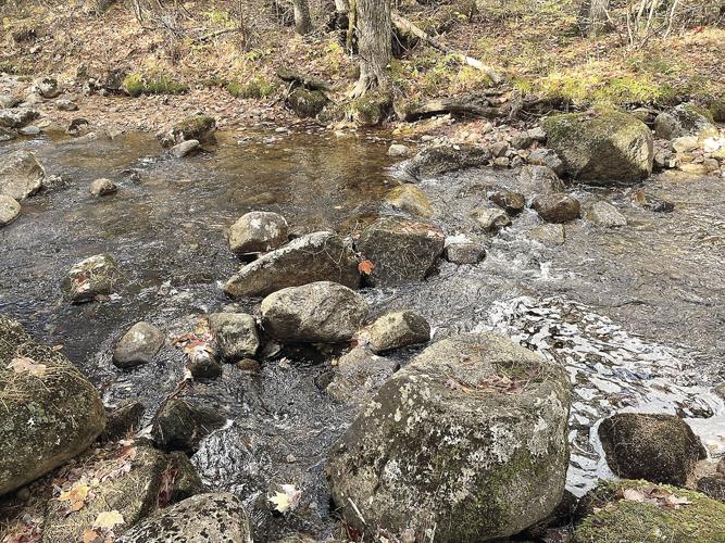 Wheel Family Fun - Douglas Brook with a red maple leaf