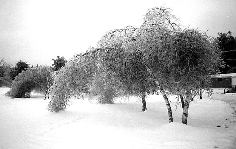 Hiking - Ed Parsons - 1998 Ice Strom 2