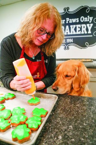 03-06-25 Kathy Ahearn decorating cookies vertical