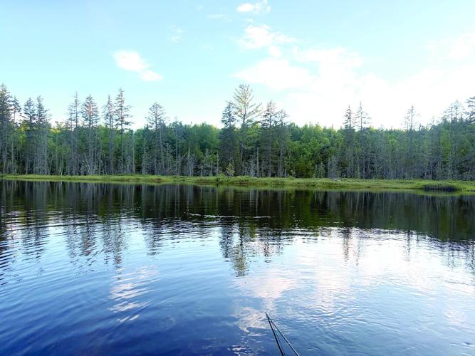 North Country Angler - scenic