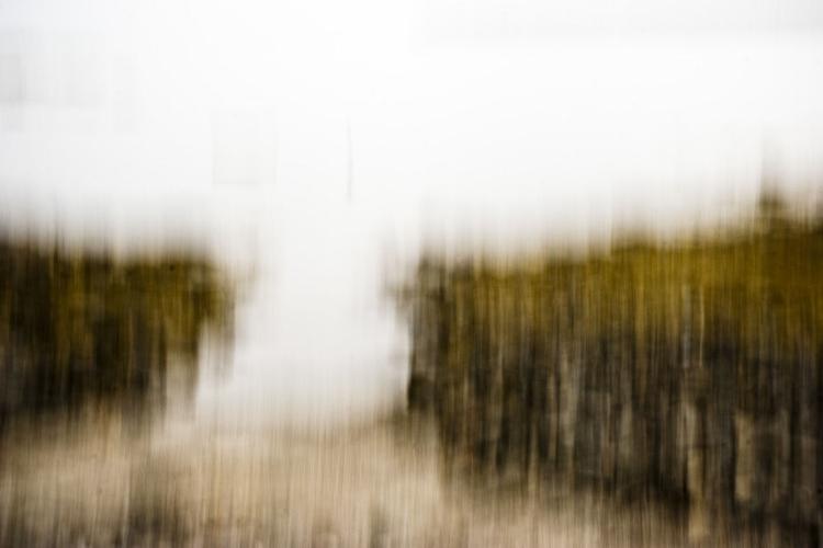 landscape-17.jpg