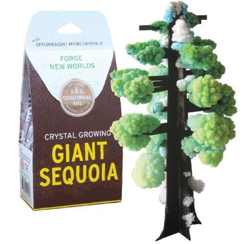 giftguide_treehousetoys.jpg