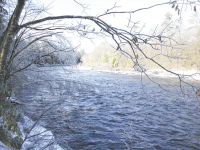 3-14-2020 Parsons-The Swift River
