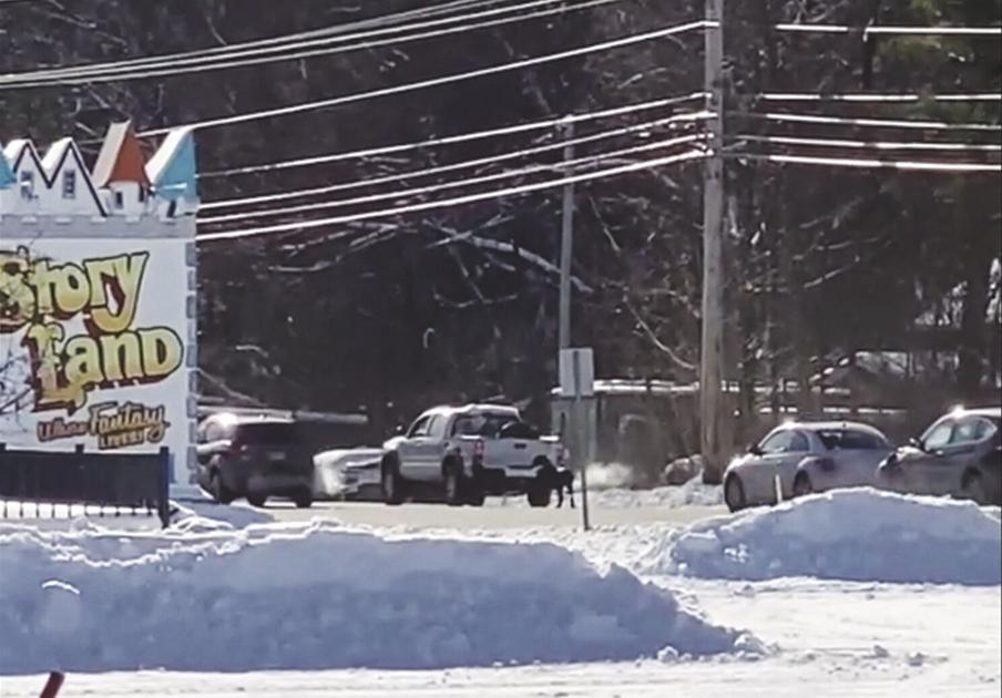 Bartlett man charged with animal cruelty over truck incident