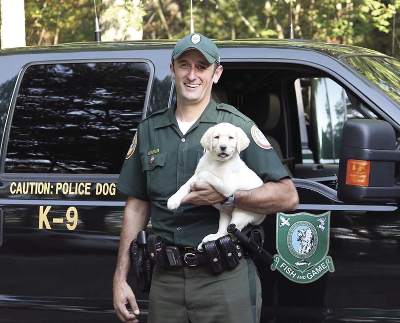 New Fish and Game Conservation K9 trainee makes her debut Local News