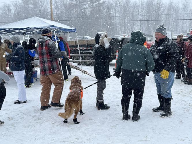 Winter-weather gear, including the booties on each of the dog's four paws